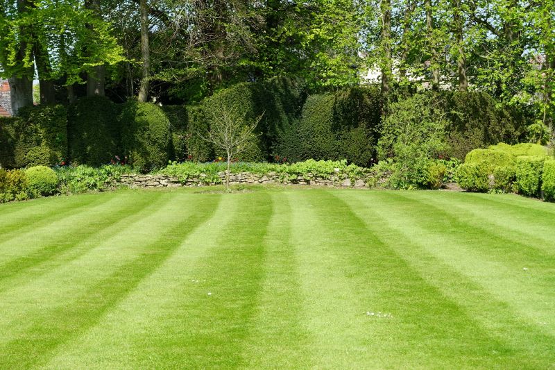 Trimmed Lawn Edges
