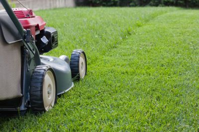 Lawn Mowing on a Clear Day