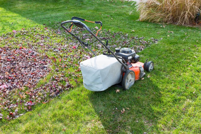 Lawn Care During Fall
