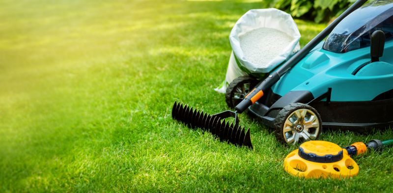 Holiday Lawn Maintenance