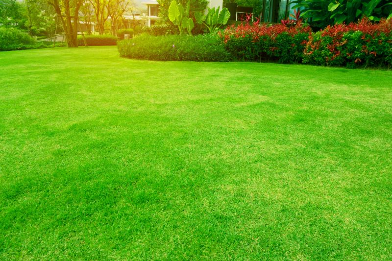 Lush Green Lawns