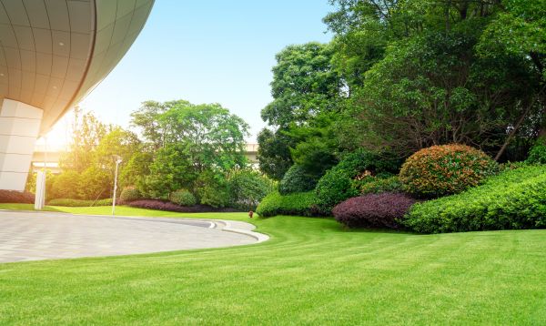 Commercial Lawn Care in Anoka