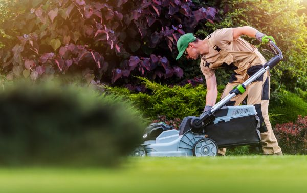 Lawn Care And Maintenance in Anoka