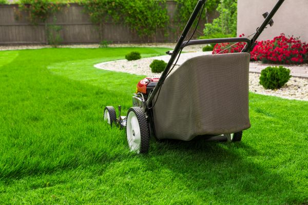 Lawn Mowing in Anoka