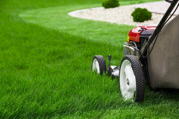 Mowing Service in Anoka