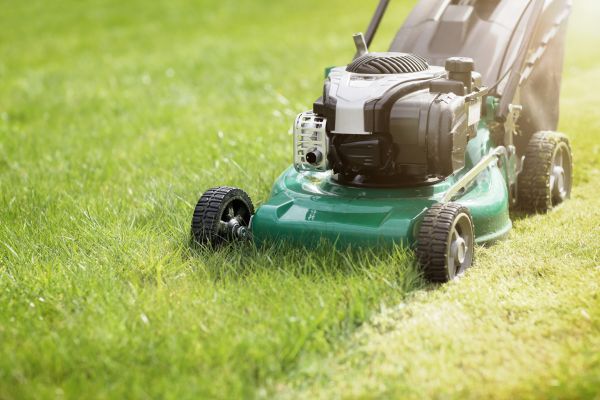 Yard Cutting in Anoka