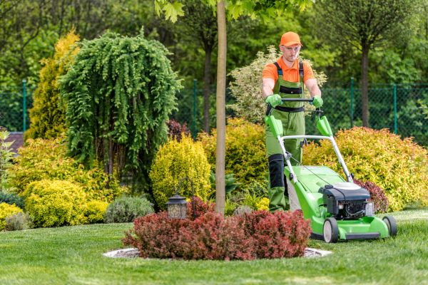 Yard Service in Anoka