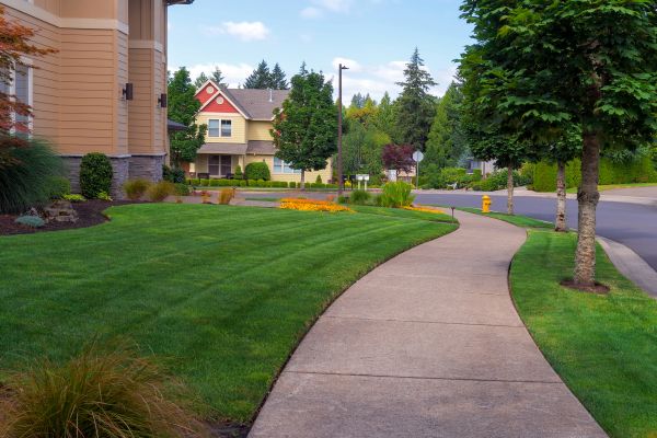 Home Lawn Maintenance in Anoka
