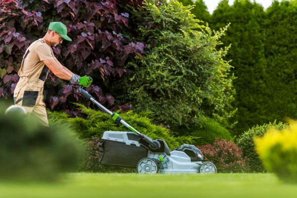 Lawn Management in Anoka
