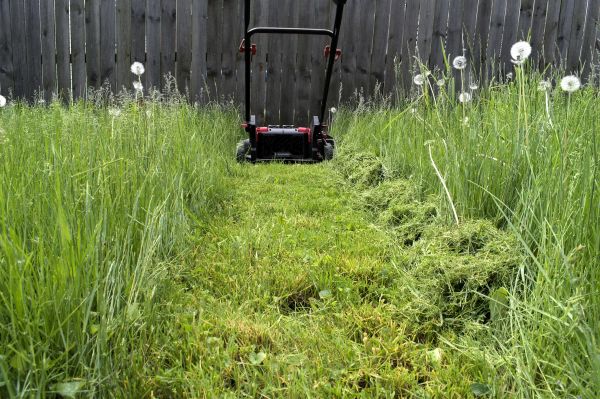 High Grass Mowing in Anoka