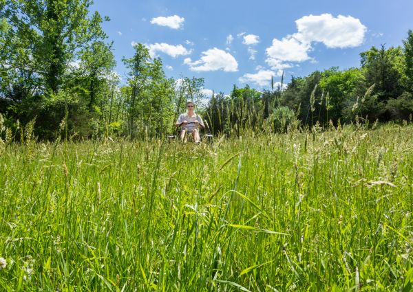 Long Grass Mowing in Anoka