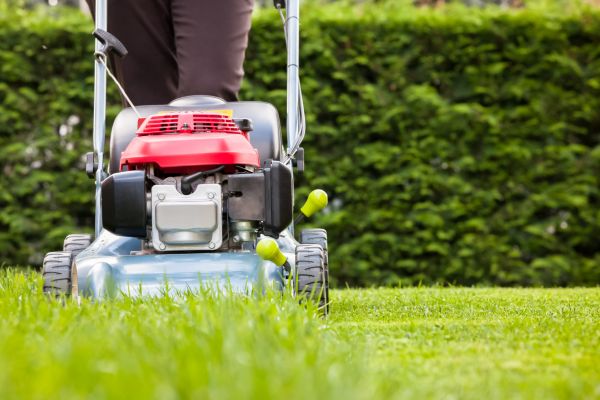 Grass Trimming Service in Anoka