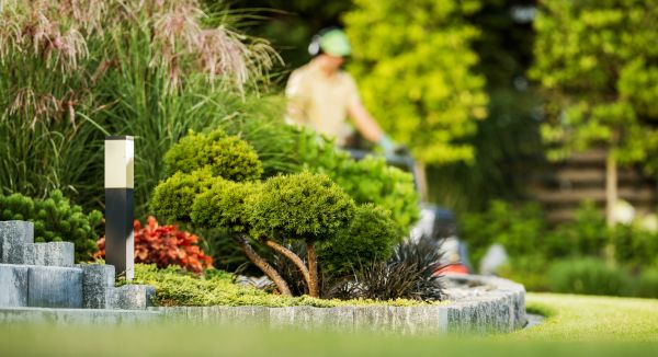 Residential Yard Maintenance in Anoka