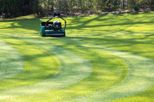 Business Lawn Mowing in Anoka