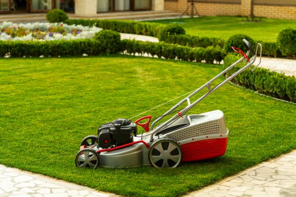 Business Grass Cutting in Anoka