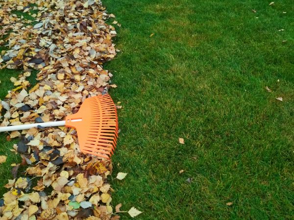 Fall Lawn Care in Anoka